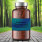 Mushroom Adaptogens