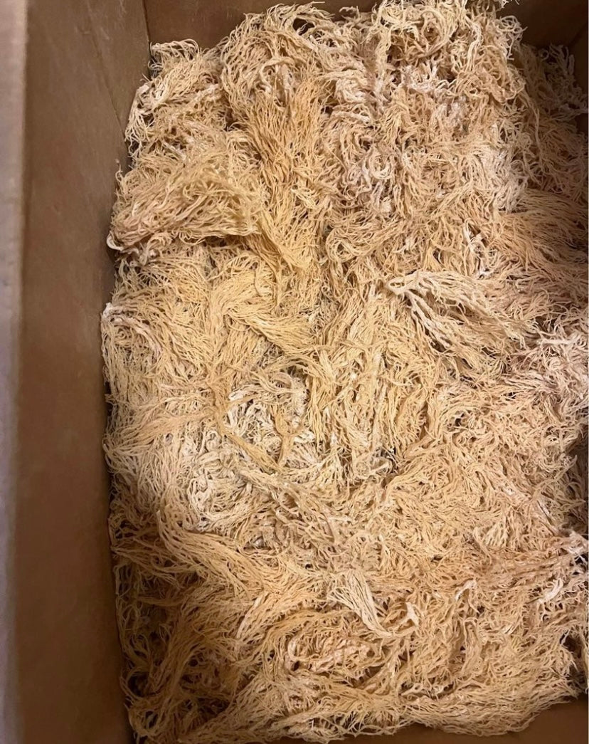 Raw Sea Moss